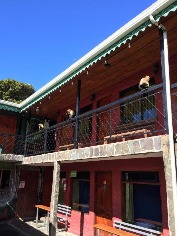 Manakin Lodge, Monteverde Cr 외부 사진