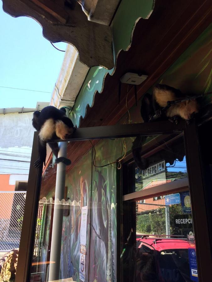 Manakin Lodge, Monteverde Cr 외부 사진