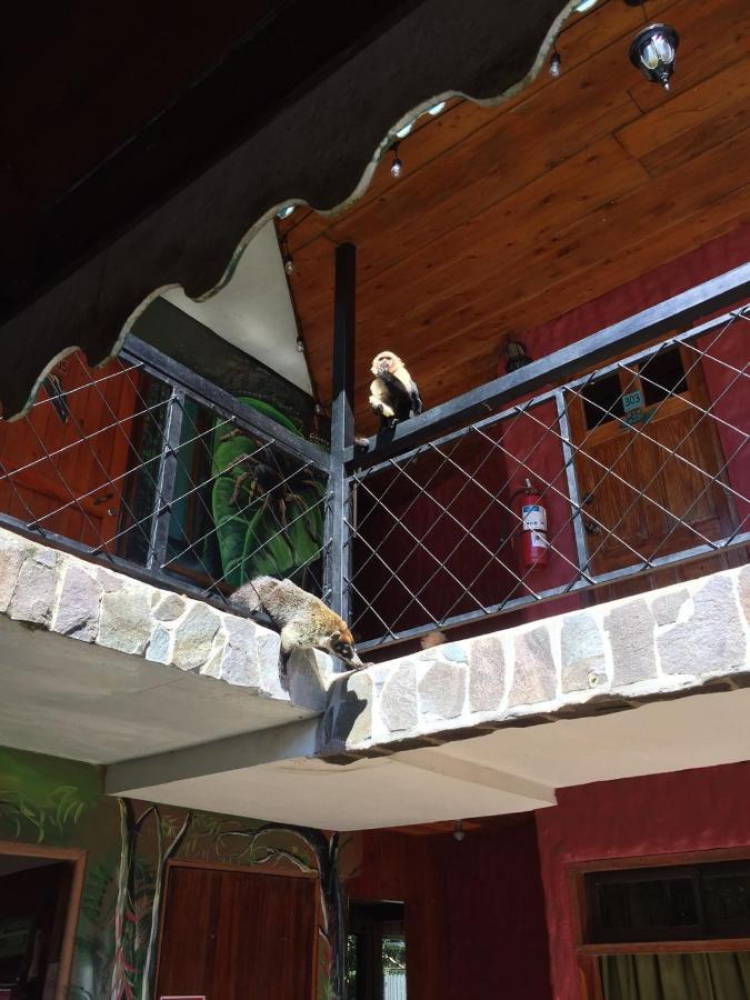 Manakin Lodge, Monteverde Cr 외부 사진