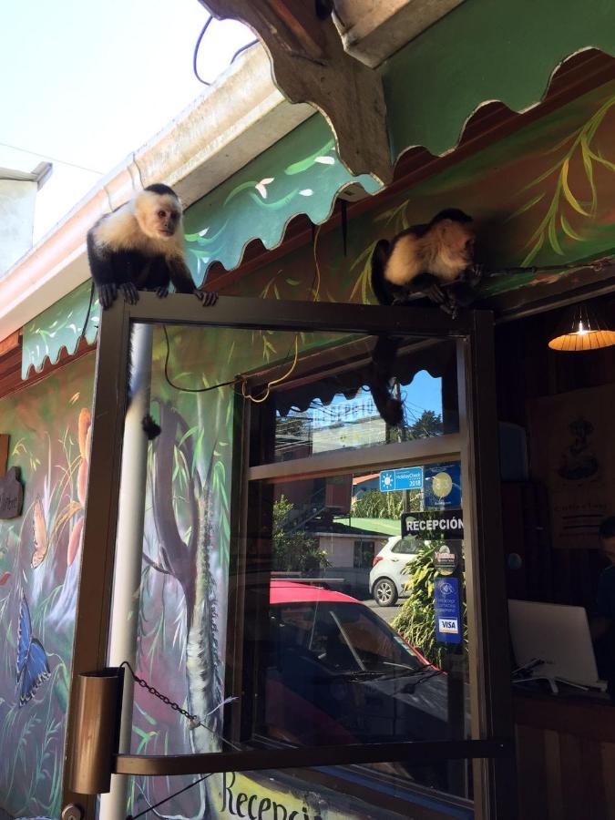 Manakin Lodge, Monteverde Cr 외부 사진